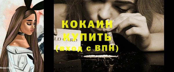 мдпв Новозыбков