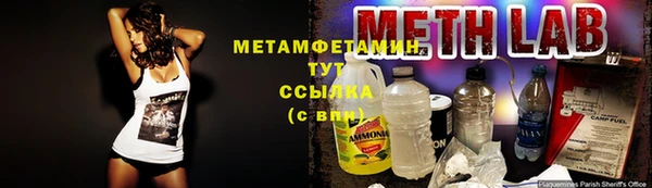 мдпв Новозыбков