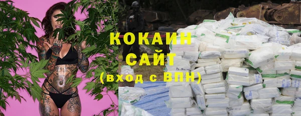 мдпв Новозыбков