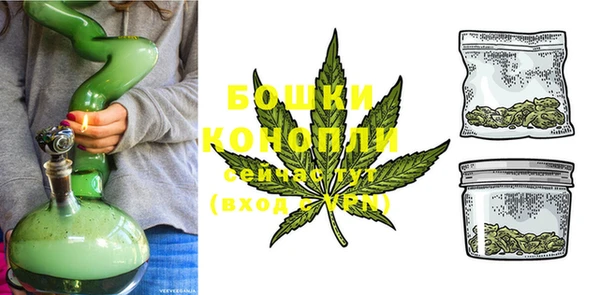 мдпв Новозыбков