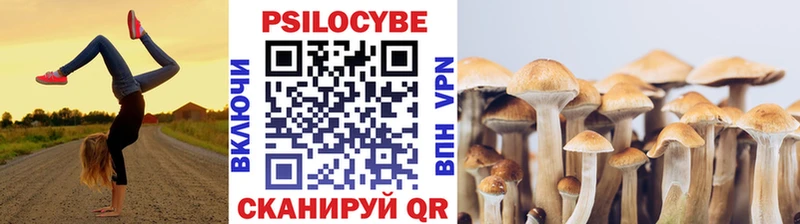 hydra вход закладка Макушино Галлюциногенные грибы Magic Shrooms