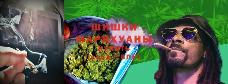 Каннабис OG Kush  Макушино 