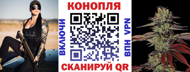 блэк спрут зеркало Макушино Шишки марихуана ГИДРОПОН
